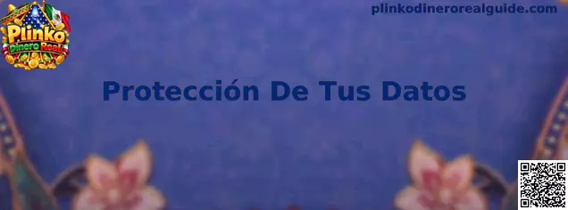 Guía sobre protección de datos y seguridad para usuarios de Plinko Dinero Real