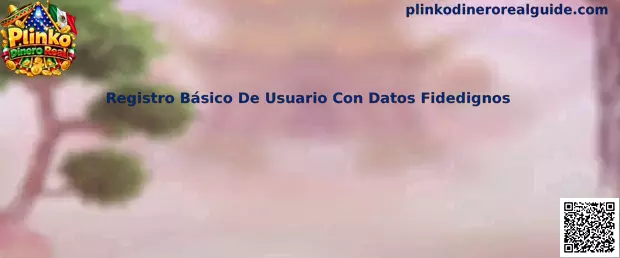 Registro básico de usuario con datos fidedignos para una plataforma de Plinko Dinero Real