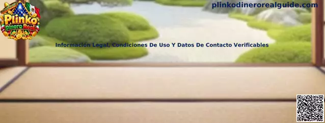 Guía para revisar información legal, condiciones de uso y datos de contacto verificables en Plinko Dinero Real