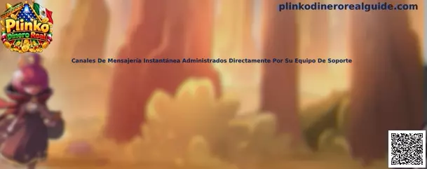 Canales de mensajería instantánea administrados por soporte oficial